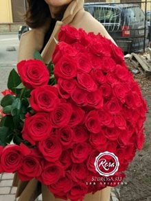 фото 51 красная роза 70 см роза